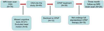 Effects of 3-month CPAP therapy on brain structure in obstructive sleep apnea: A diffusion tensor imaging study